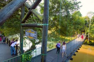 Guararema, município de São Paulo – Calhas e Telhados